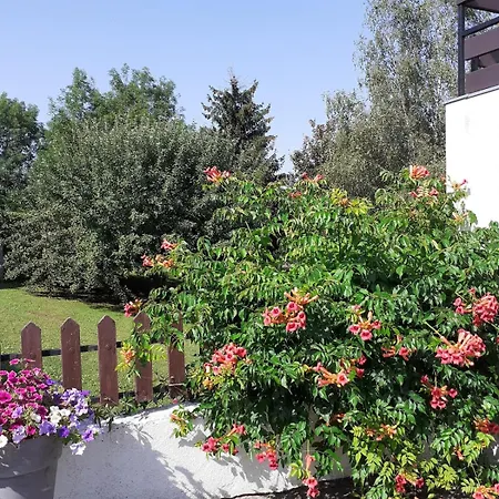 Serenite Holiday home Jussac